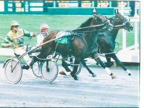 Driver Walter Whelan waves his whip in triumph as Armbro Emerson heads for victory in Prix d’Été at Blue Bonnets in Montreal in this photo from Aug 25, 1986.