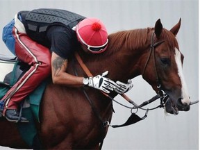 Exercise rider Willie Delgado hugs California Chrome during a training session at Los Alamitos Race Course Thursday, Sept. 4, 2014, in Los Alamitos, Calif. California Chrome, the Kentucky Derby and Preakness winner, is scheduled to run in the $1 million Pennsylvania Derby on Sept. 20.