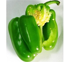Green peppers are particularly low priced because the crop is so large.