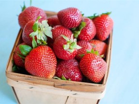Look for Quebec strawberries in local markets as they have more flavour than the California berries in town.
