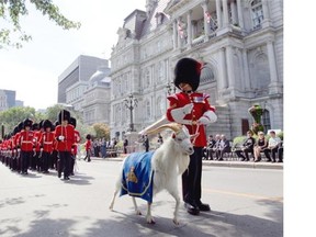 Members of the Royal 22 Regiment of the Canadian military, with mascot Baptiste X, stand in front of Montreal city hall in Montreal September 4, 2014. Montreal was bestowing the droit de cité on the Van Doos regiment today to recognize their 100th anniversary. The old droit de cité tradition gives a military unit permission to parade in the street with drums beating, colours flying and bayonets fixed.