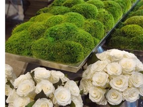 Preserved moss on silver rectangular Pisces tray and preserved champagne roses on silver wine coasters at a new furniture store in the Griffintown area of Montreal called ITEM Thursday, September 18, 2014.