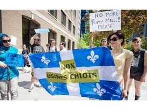 Protesters in Montreal in 2012 call for the shuttering of puppy mills in Quebec.