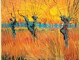 Vincent van Gogh's Pollard Willows at Sunset  (Saules au coucher du soleil), 1888. Medium: Oil on canvas.