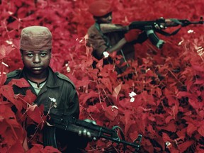 A photo from Richard Mosse's exhibition, The Enclave