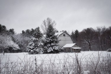 First snowfall of the year, a barn in St-Lazare.