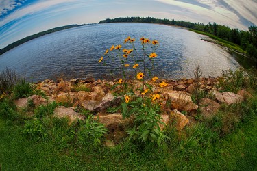 This photo was taken from Jack Layton Park looking at Sandy Beach with a fish eye lens, just a different look.