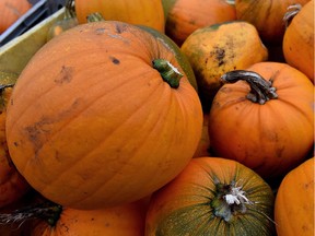 Instead of throwing out your pumpkin after Oct. 31, festival planners urge you to “Save the pumpkins.”