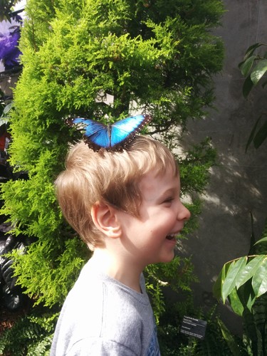 Our grandson Alex at the Botanical Garden