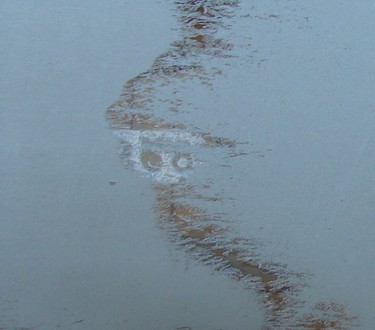 My frosty car window looks like a gorilla's head with a small cat in its mouth.