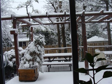 My patio after the first snow fall.