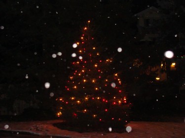 Christmas tree across the street.