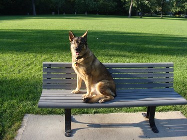 This bench is taken.