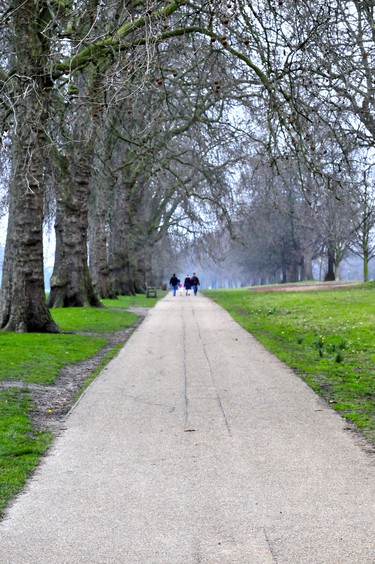 Residents of London enjoy and maintain their truly lovely parks. Walking in them you lose all sense of time a chance just to clear your mind and enjoy their magnificent presences. If trees could talk?
