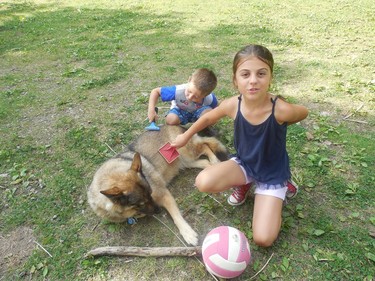 Two kids trying to groom my dog Lalou.