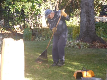 My friend is busy raking his lawn.