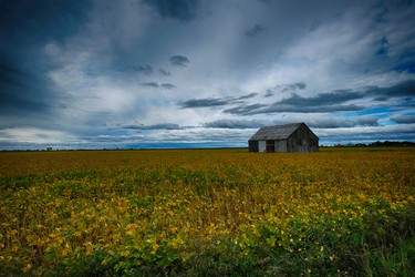 Fields changing colours this time of the year.