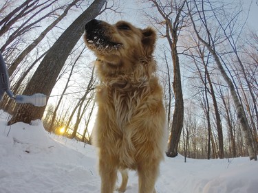 Enjoying the snow