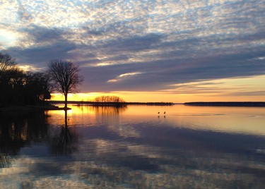 Spring time bring Canada Geese to Montreal and we also have gorgeous sunsets that are breathtakingly beautiful.