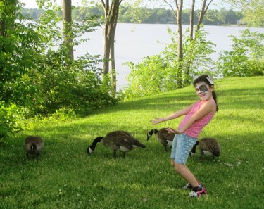 "Geese!" says Selina (at Parc Menard on Boulevard Gouin in Pierrefonds).