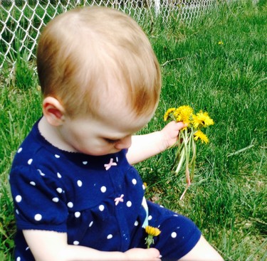 Baby Madison discovering the dandelion ❤️