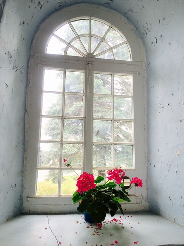 This pot of geraniums sits in the window of a beautiful little chapel in St- Andre, near KAMOURASKA.