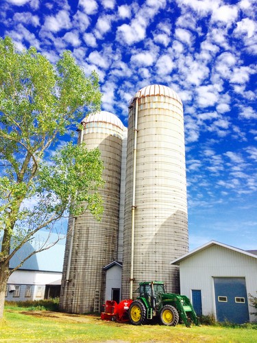 Came across this beautiful farm in Cacouna. The sky was a beautiful backdrop for the talllll silos.