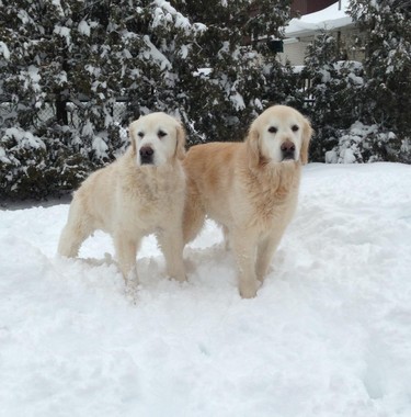 11-year old siblings, Bo and Jake, can't get enough of the snow.