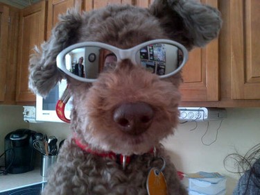 Hershey sporting his shades!