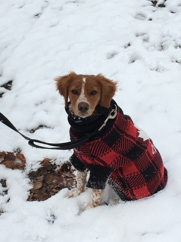 5 month old Alice enjoying her first snow day