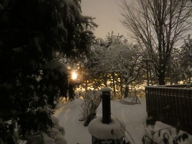 Early morning snow in my backyard.