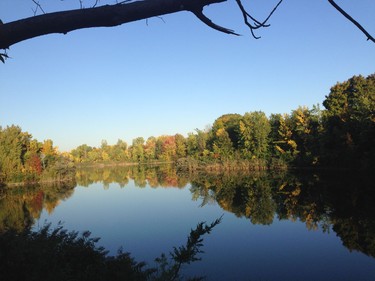 View of autumn landscape mirrored in lake at Centennial Park in Dollard des Ormeaux