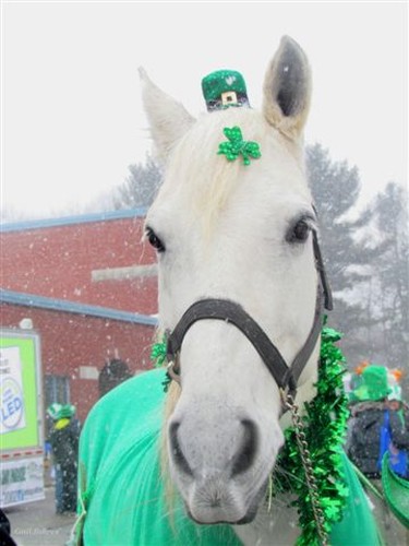 St. Paddy's Day Parade in Hudson is surly a sign of Spring !