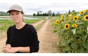 Veronique Bouchard stands amongst the Sun Flowers on her family farm owned and operated by her and her husband, Francois Handfield, not seen, Aux petits oignons, in Mount Tremblant north of Montreal on Thursday August 28, 2014.
