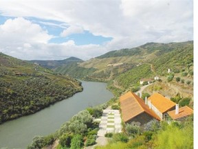 While best known as a Bordeaux grape, petit verdot might even be better in other regions like in Portugal’s Douro valley.