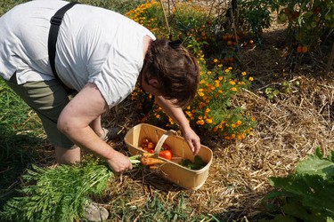 It's harvest time and everything looks good.