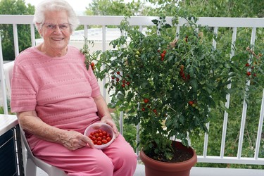 Even on a 3rd floor balcony my mum has a small garden and tomatoes every day