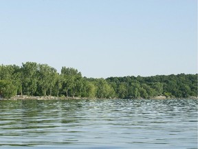 The shoreline of a Quebec lake.