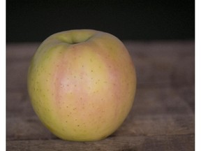 Waiting for a name:  A Q370 apple at Verger de la montagne, in Mont St- Gregoire.
