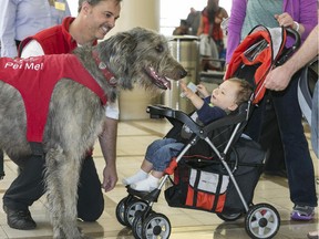 Pets Unstressing Passengers (PUPs) volunteer Brian Valente, left, with his dog, Finn, greet the Bloom family with their 13-month-old son, Jacob, at the Los Angeles International Airport terminal. The Los Angeles International Airport has 30 therapy dogs and is hoping to expand its program. The dogs are intended to take the stress out of travel: the crowds, long lines and terrorism concerns.