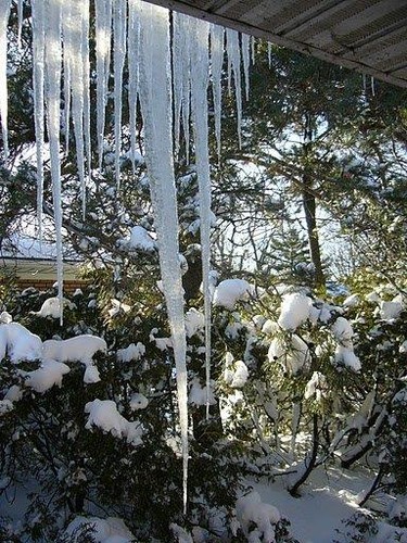 Taken from my bathroom window after the mini January melt.