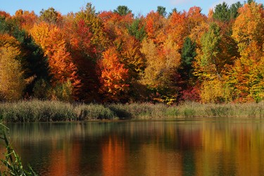 End of fall at Pine Lake in Saint Lazare