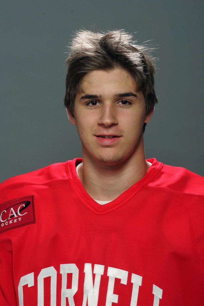 VaudreuilDorion native added to NHL concussion suit National Post