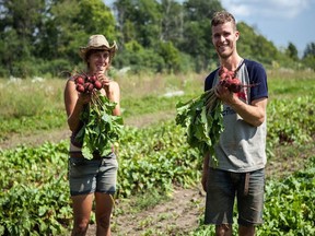 ntern Annie-Claude Lauzon picked beets with Samuel Oslund, co-manager of the Santropol Roulant farm in Senneville in 2013. The community organization is holding a harvest feast fundraiser on Oct. 23, 2014.