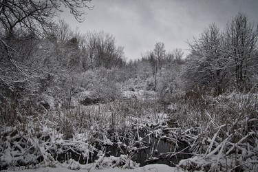 Just driving down the road and spotted this snow scape.