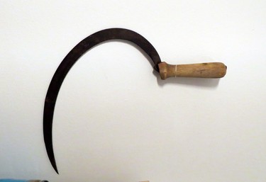 This is a sickle that we used in New Brunswick. Such a dangerous tool. My sister has a scar on her leg from it.