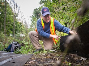 Wildlife biologist Mario St-Georges looks for snakes.