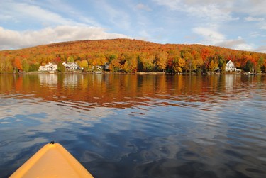 Fall colours