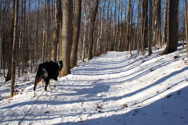 Nothing beats a good winter walk.
