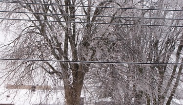 This photo was taken during the recent ice storm in Pierrefonds